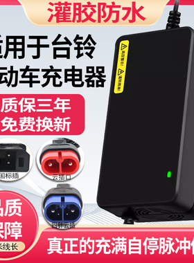 适用台铃电动车充电器48V12AH60V20AH72V四针云插防水石墨烯通用