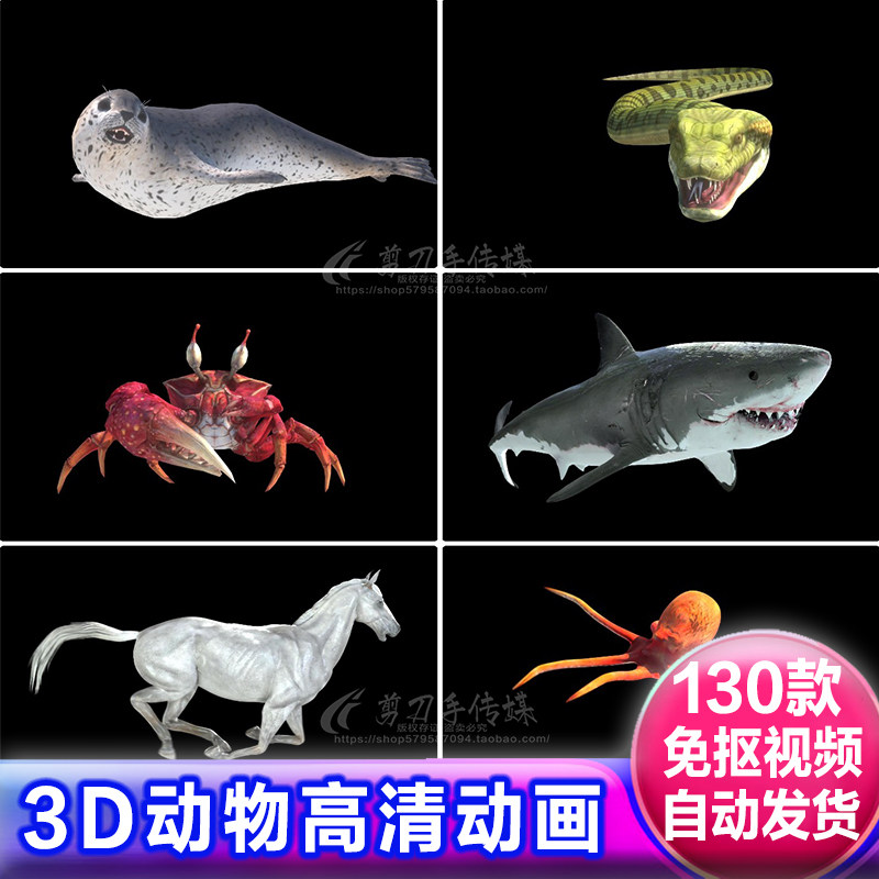 逼真野生动物飞禽走兽蛇狮猫狗鸡alpha免抠像3D动画视频遮罩素材