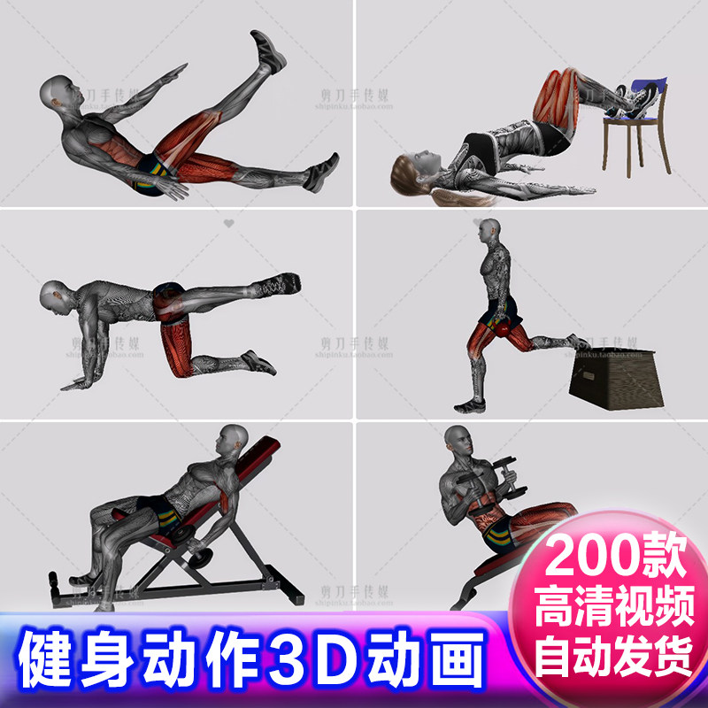 运动锻炼健身器械热身燃脂塑形动作模拟3D人物动画演示视频4K素材