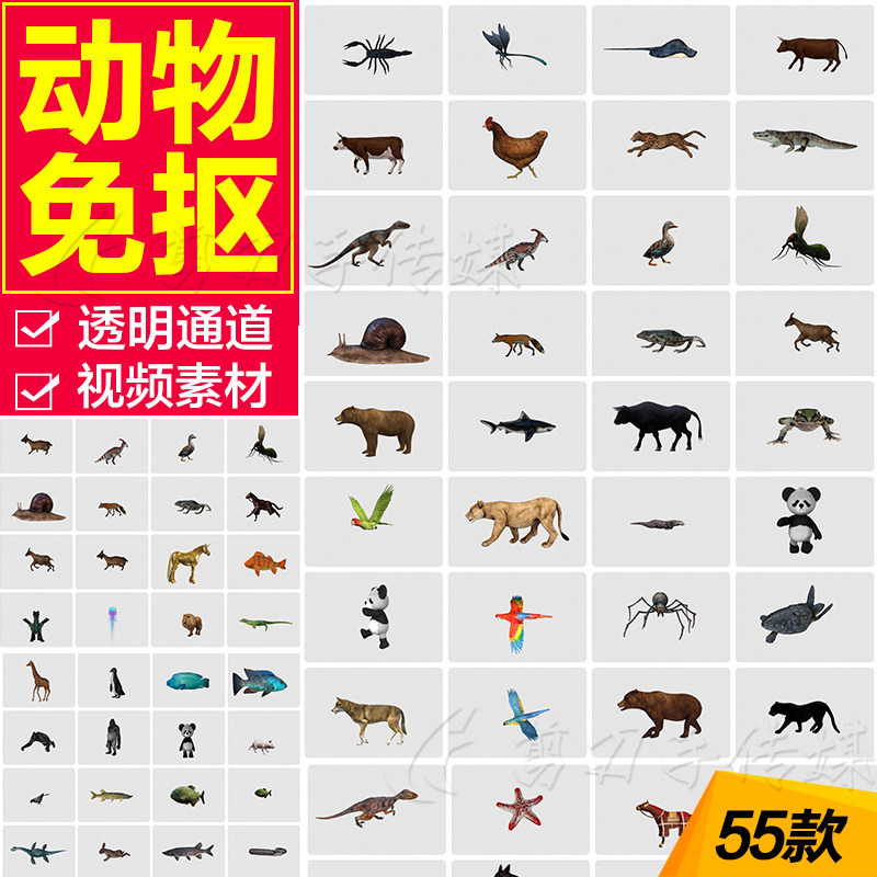 各种野生动物遮罩抠像免抠视频素材 鸡鸭鱼鹅猪牛羊蛇马透明通道