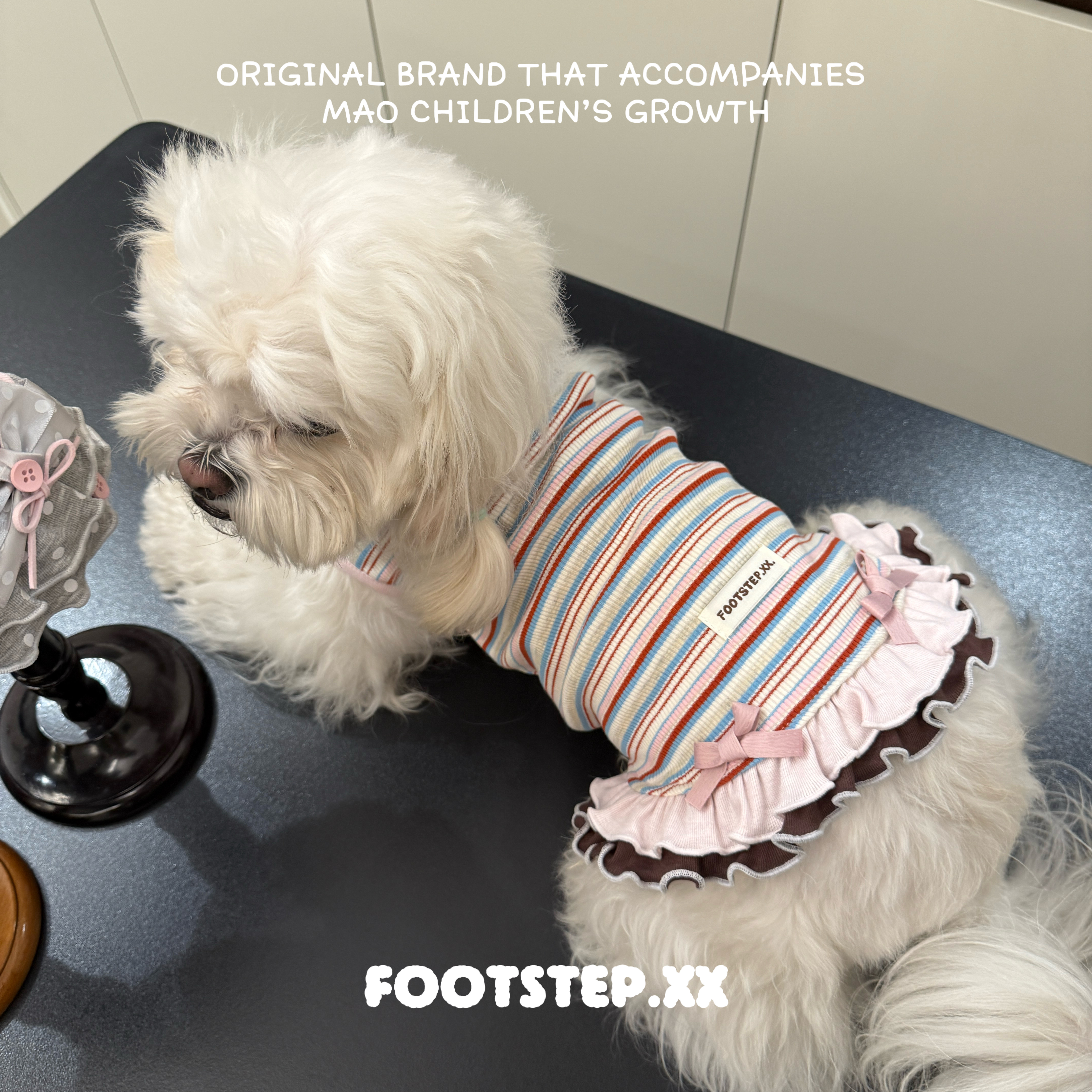 靴靴FOOTSYEP｜春秋猫咪狗狗衣服条纹毛衣泰迪比熊约克夏秋天可爱