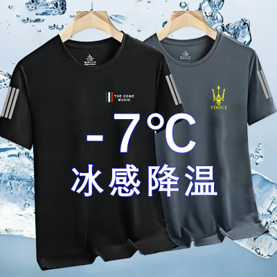 2025夏季冰丝短袖t恤男新款透气跑步运动男款半袖男士速干上衣服
