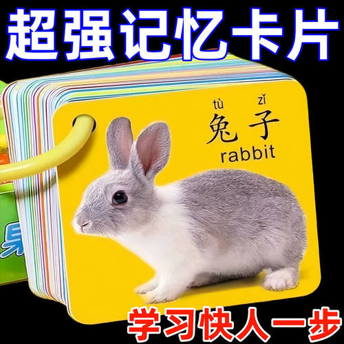 宝宝撕不烂有图识字卡儿童双面腹膜拼音汉字数字启蒙早教认知卡片