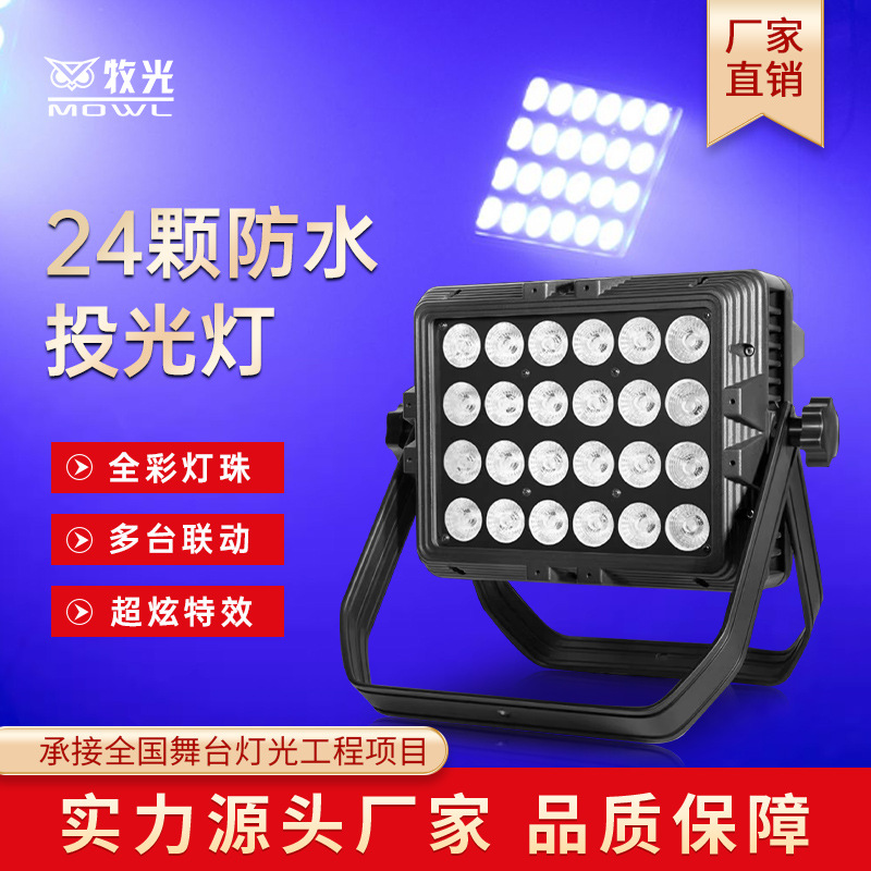 24颗防水投光灯户外亮化演出公园酒店天地排染色帕灯舞台灯光设备