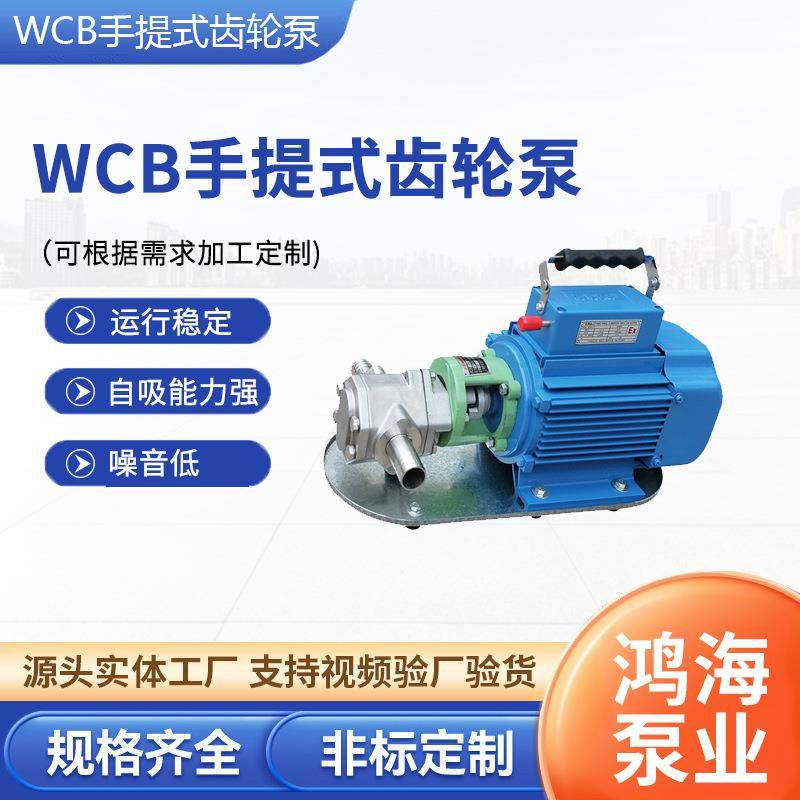 WCB手提式齿轮泵小型电动抽油泵自吸式齿轮泵柴油泵便携式手提泵,五金/工具,其它泵类型,淘宝优惠券,粉丝福利购,淘宝优惠卷