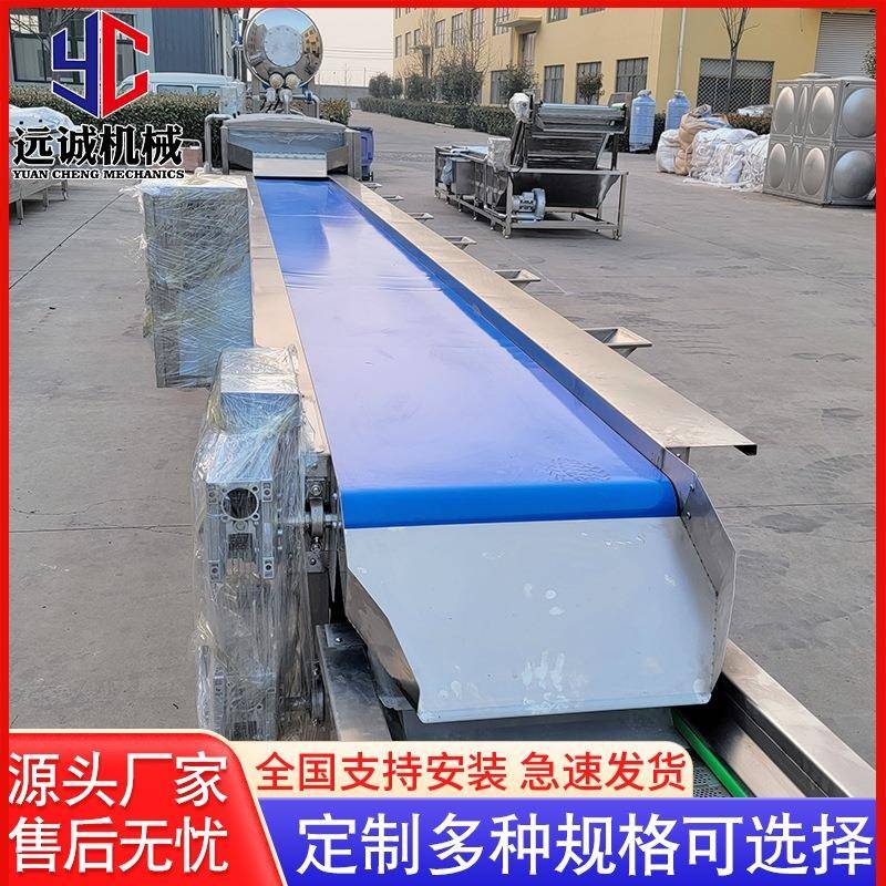 自动检重秤动态称重机大鲤鱼马哈鱼皮带式分选机厂家供应