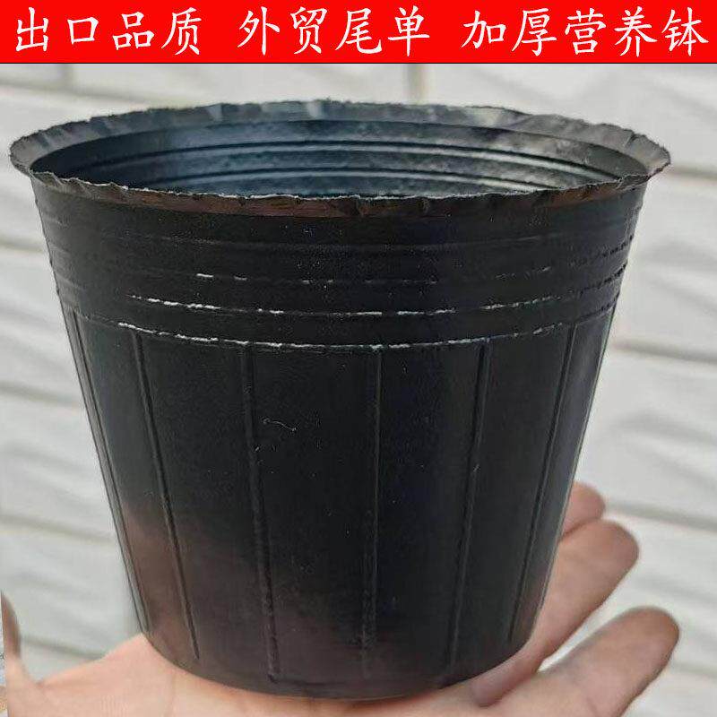 营养钵花盆树苗塑料加厚育苗杯营养杯防老化优质塑料育苗盆黑大号