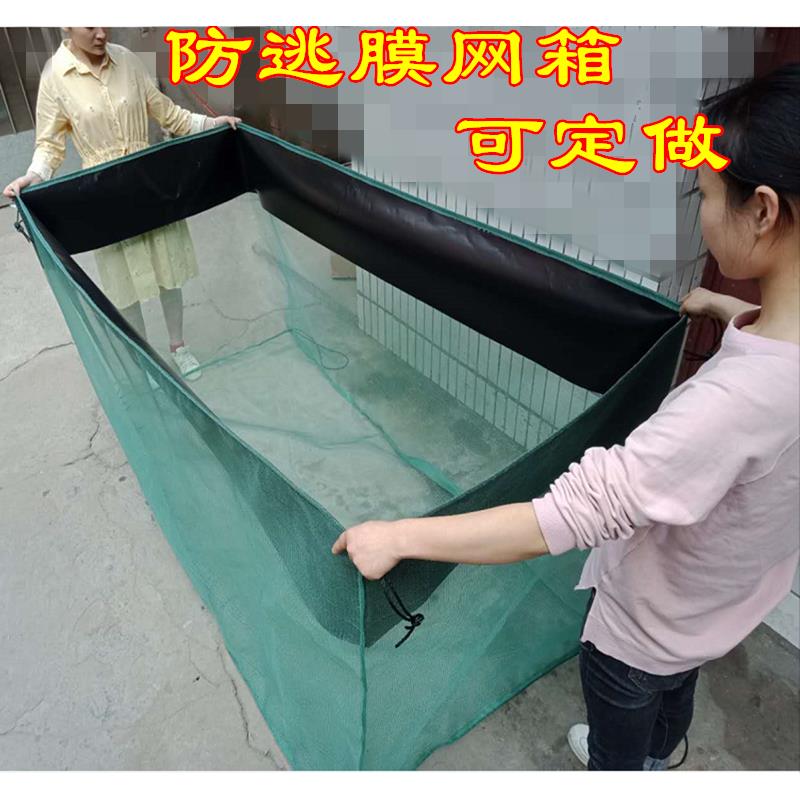 龙虾养殖防逃膜网箱 螃蟹防逃网 泥鳅黄鳝牛蛙养殖 防逃网箱定做
