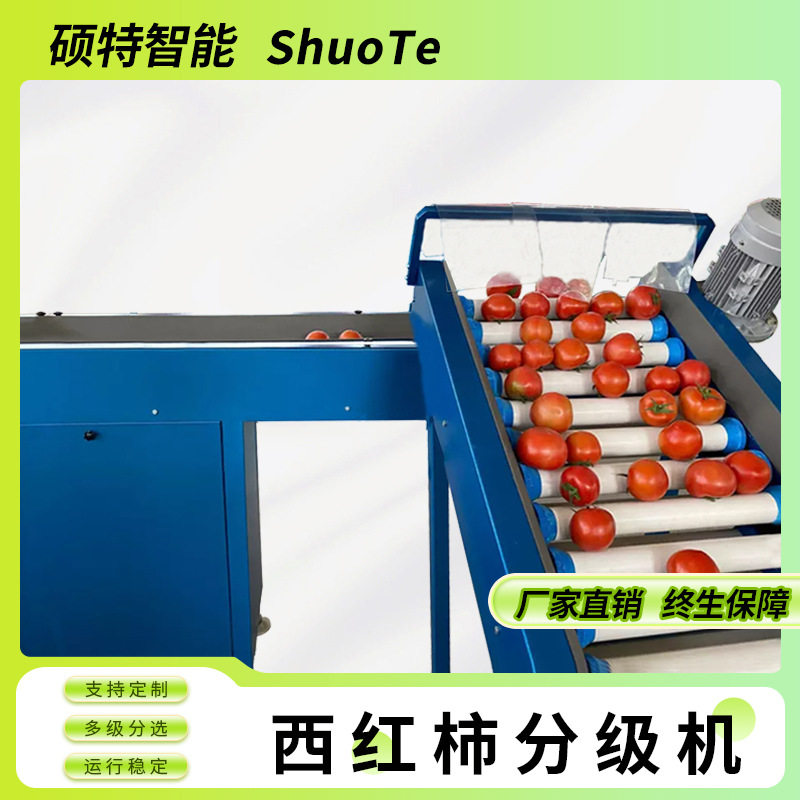 全自动水果称重分拣机 橙子橘子电子选果机 智能果蔬西红柿分选机