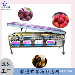 商用核桃分级机冬枣分拣大小果机 滚筒式多种原料自动分选机