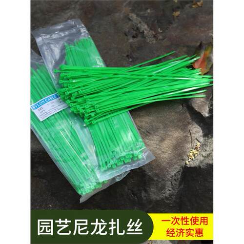 绑扎丝尼龙扎带自锁式束线带塑料捆绑带固定扎绳拉紧器园艺捆扎线