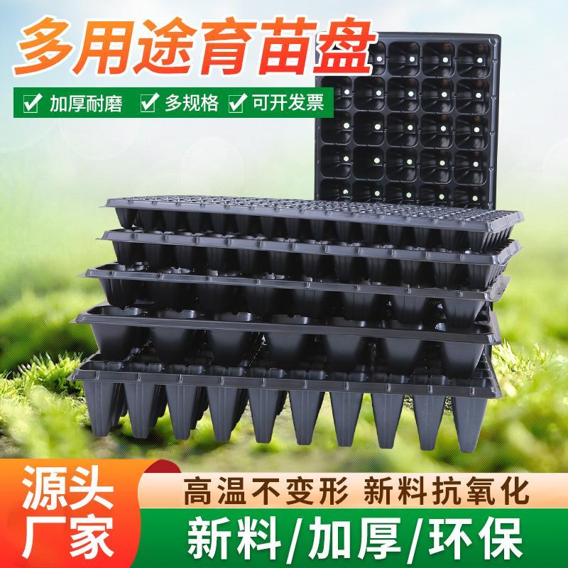 育苗盘穴盘育苗盆育苗盒营养钵营养杯育苗器专用培育箱