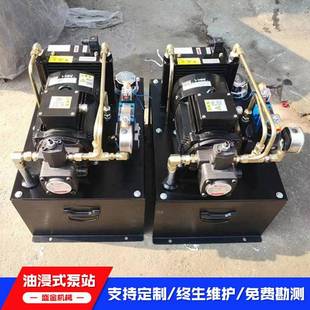 静音立式 家用别墅电梯无噪音油浸式 液压泵站厂家整套电梯配件