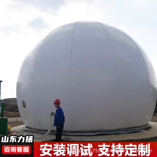 球形双膜气柜  气体缓存装置可折叠移动养殖场沼气双模储气设备