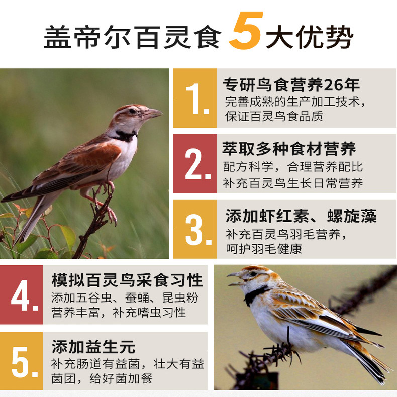 开元盖帝尔百灵鸟食营养提性鸟粮