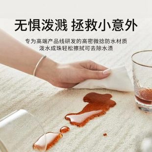 高级轻奢进口白月光同款 奶油风防水防污地毯客厅家用2024新款 地垫