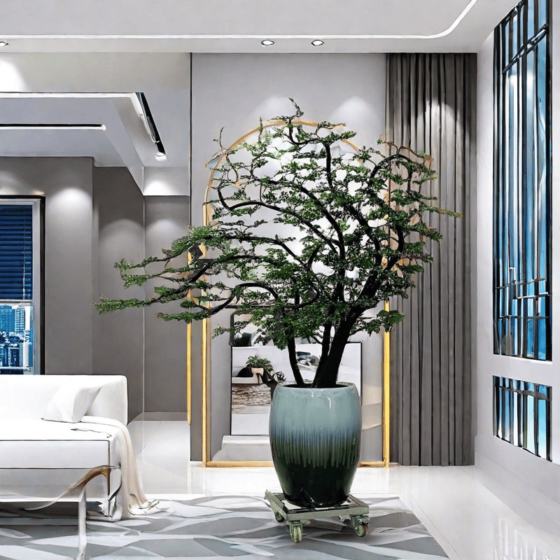 小叶紫檀盆景造型室内外绿植办公室玄F关落地绿植名贵树黑骨茶好