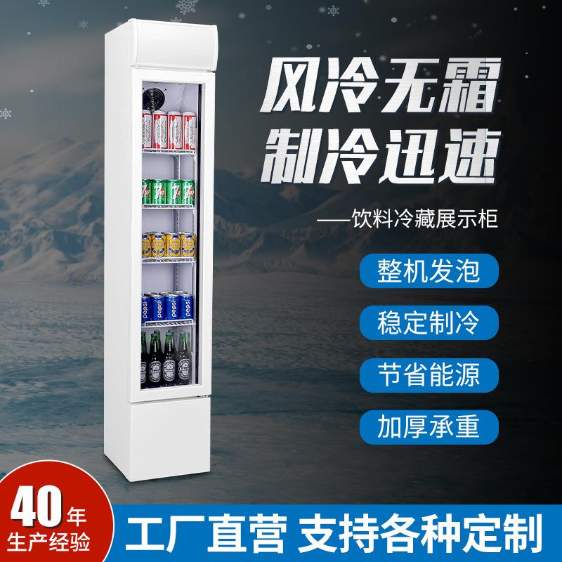 商用冰柜药品阴凉柜展示柜饭店超市单门立式冷藏展示柜厂家