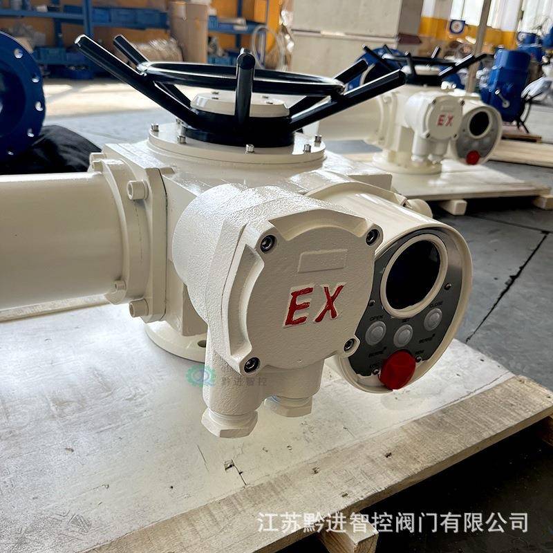 DZW60防护等级IP68防爆等级ExdIIBT4电源电压AC80V开关型ZB60