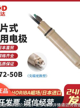 议价日本 HORIB堀场6171-50B 6172506171-50BB 617-4-50B原装一体