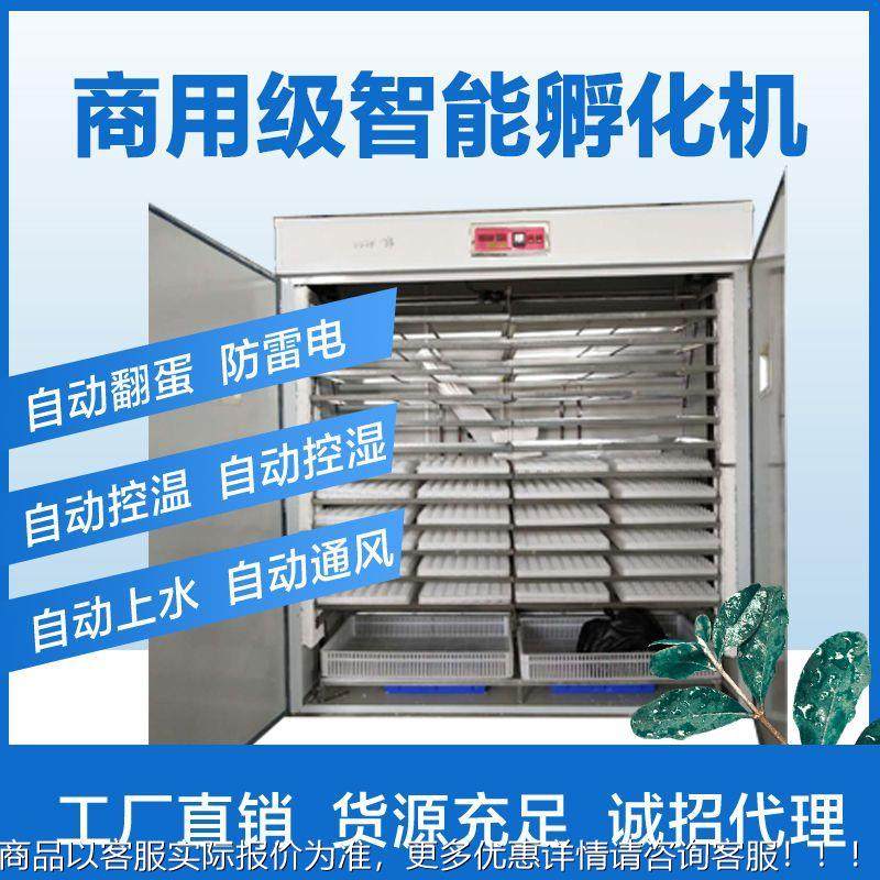 卵全自动大型鸽子孵化箱孵化机小型家用化孵器LVD孵器化器小鸡蛋,农机/农具/农膜,农用防护器具,淘宝优惠券,粉丝福利购,淘宝优惠卷