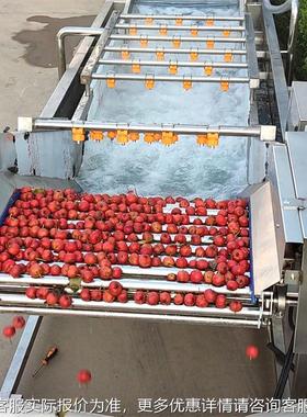 山楂清洗加设备 大山楂清UUQ洗水流线每小时1吨工 型洗山楂设备商