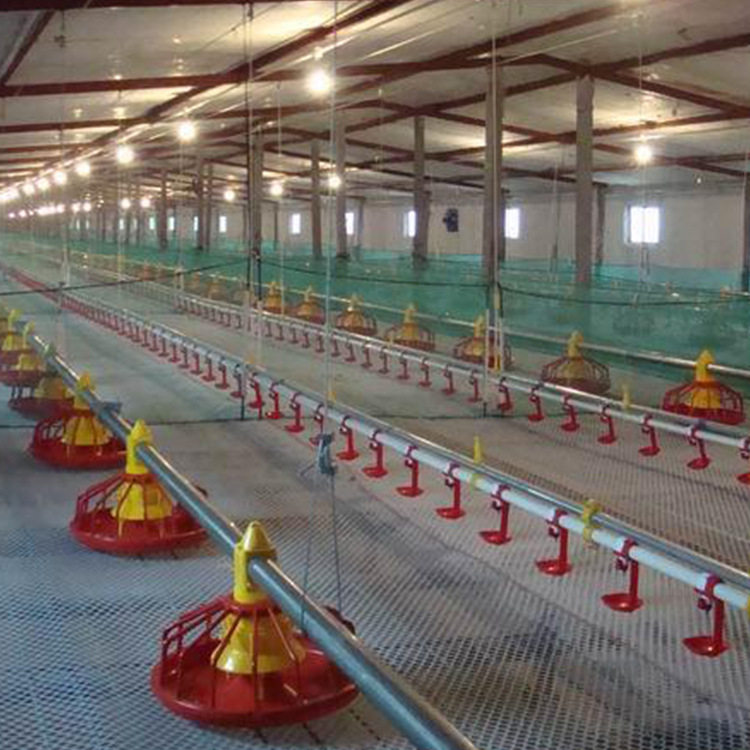 厂家定制养鸡料线平养 散养养鸭料线 自动喂料喂水料线 沧州青山,畜牧/养殖物资,饲料投料机,淘宝优惠券,粉丝福利购,淘宝优惠卷