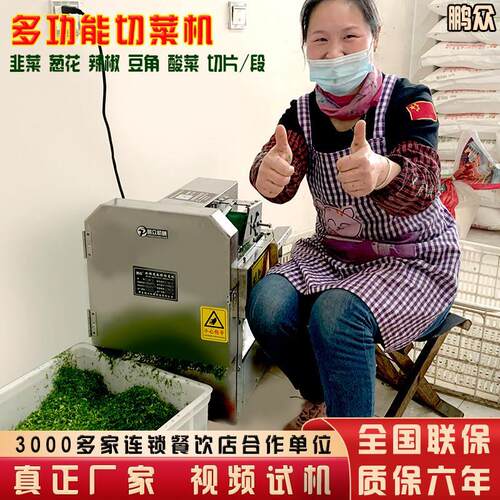 商用自动切菜机 食堂用切片机 切葱花辣椒切圈机 多功能切菜厂家
