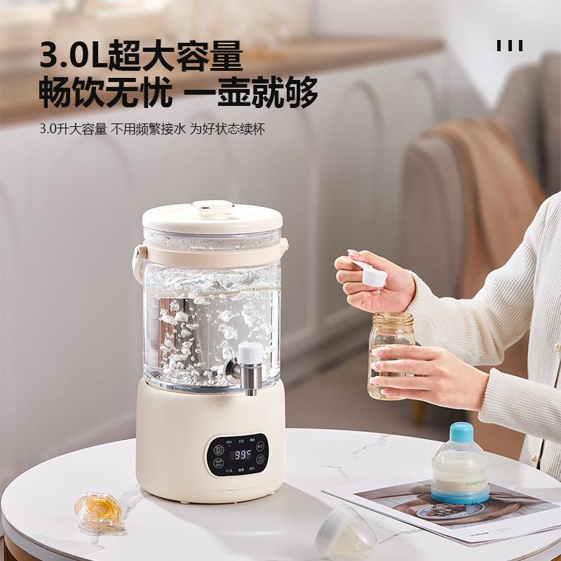 110V220V欧规玻璃养生壶家用3L大容量电热烧水壶煮茶器花茶桶台湾