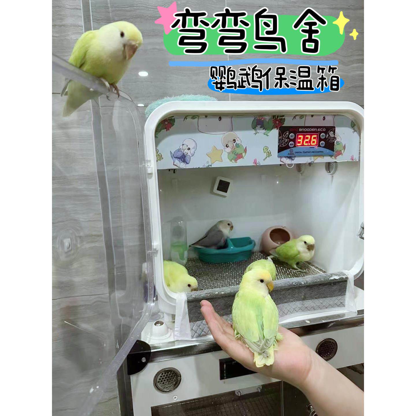 小鹦专业大厂大品牌鹦鹉保温箱雏鸟小型家用或车载便携暖箱保暖箱