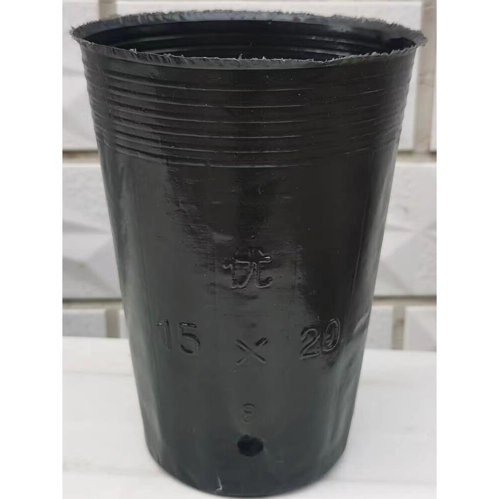 加高营养钵高桶脐橙柑橘苗方口育苗钵圆口育苗杯黑色塑料盆树苗杯