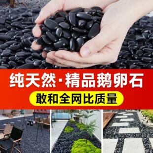 天津抛光黑鹅卵石雨花石庭院园林造景铺路石装修天然石头鹅暖石