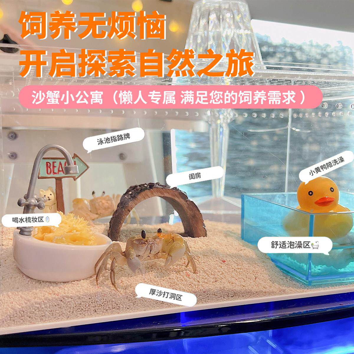 小沙蟹饲养套装陆生海水淡水观赏宠物蟹懒人混养寄居蟹包邮包活