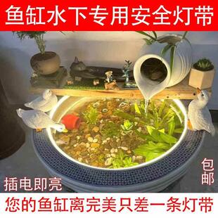 水底灯带24v低压led实心硅胶灯条鱼池灯户外防水自粘古法鱼缸灯带