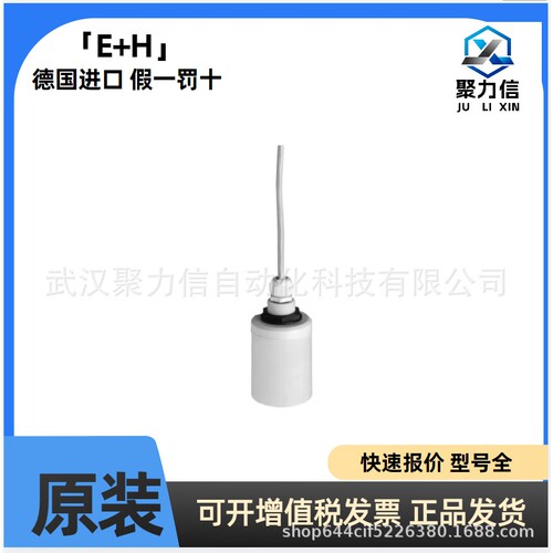 现货FDU91-RG2AA 超声波液位计探头 恩德斯豪斯 E+H  原装
