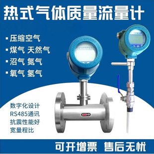 热式 管道式 气体质量流量计 天然气插入式