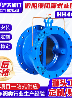 止回阀微阻缓闭蝶式止回阀缓闭式止回阀HH48X HH49X HH46X
