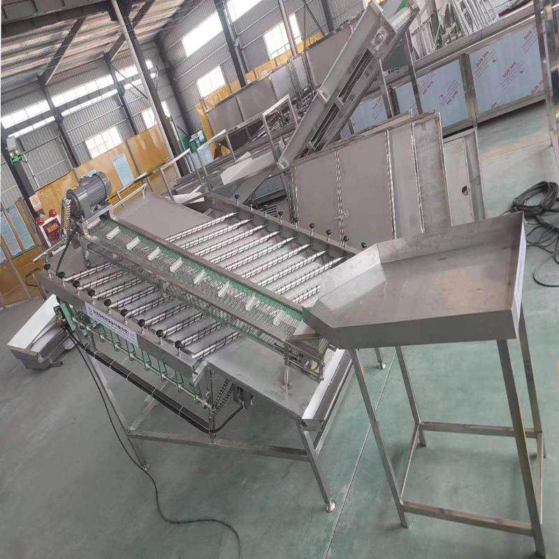 商用鲫鱼分选机鲫鱼分选设备小龙虾分选机器海鲜淡水鱼分选设备,机械设备,筛选机,淘宝优惠券,粉丝福利购,淘宝优惠卷