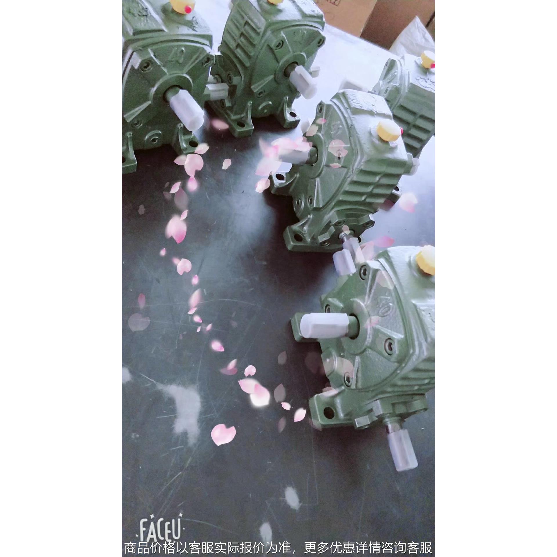 100蜗轮蜗杆减速机 立式针轮减速机 减速器/天/图片
