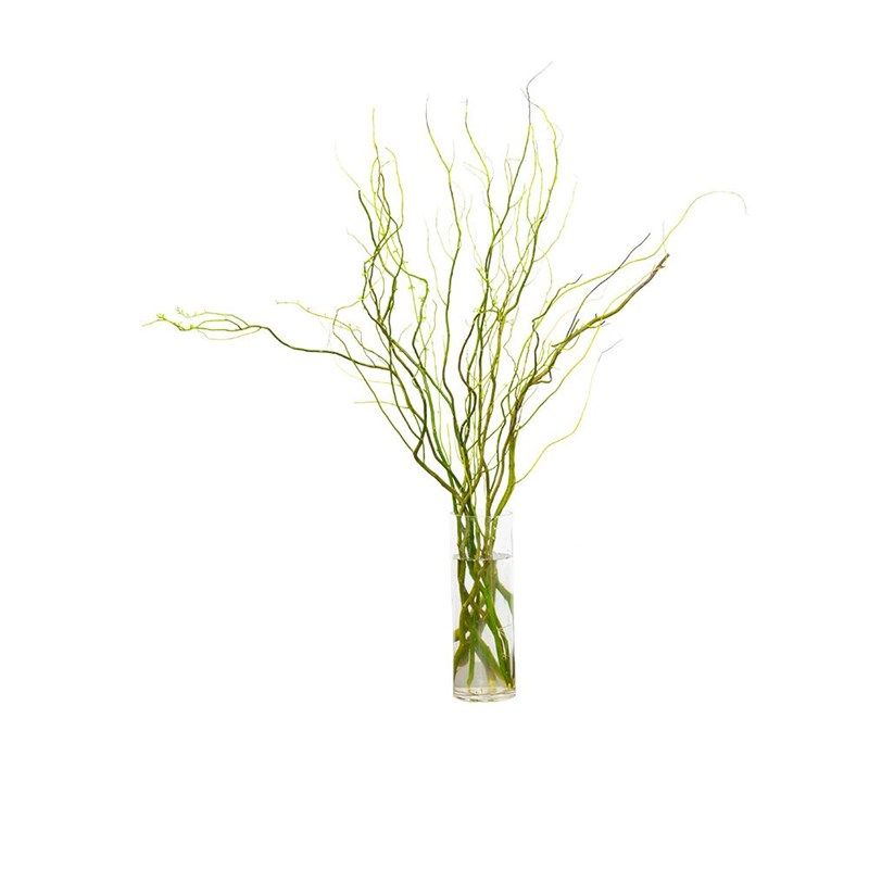 龙柳鲜切枝富f贵竹客厅水培网红绿植物花卉室内盆栽好养活干支雪