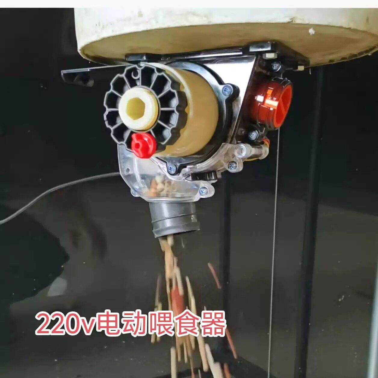 电动下料机鸽子鸡鸭鹅宠物电动喂食器220V耐腐蚀易清理