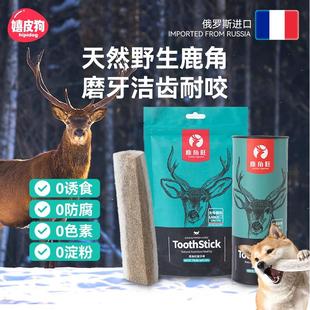 鹿角磨牙棒狗狗磨牙宠物比熊泰迪柴犬边牧法斗柯基小型犬幼犬零食