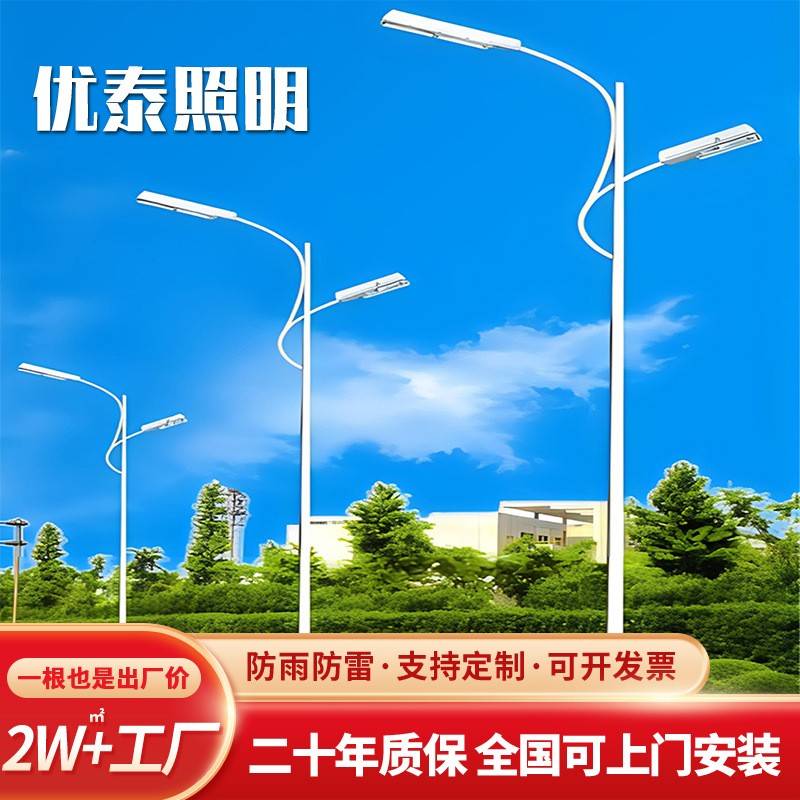 厂家直销高臂双挑LED灯市政工程同款电路灯6~15米杆长热镀锌路灯