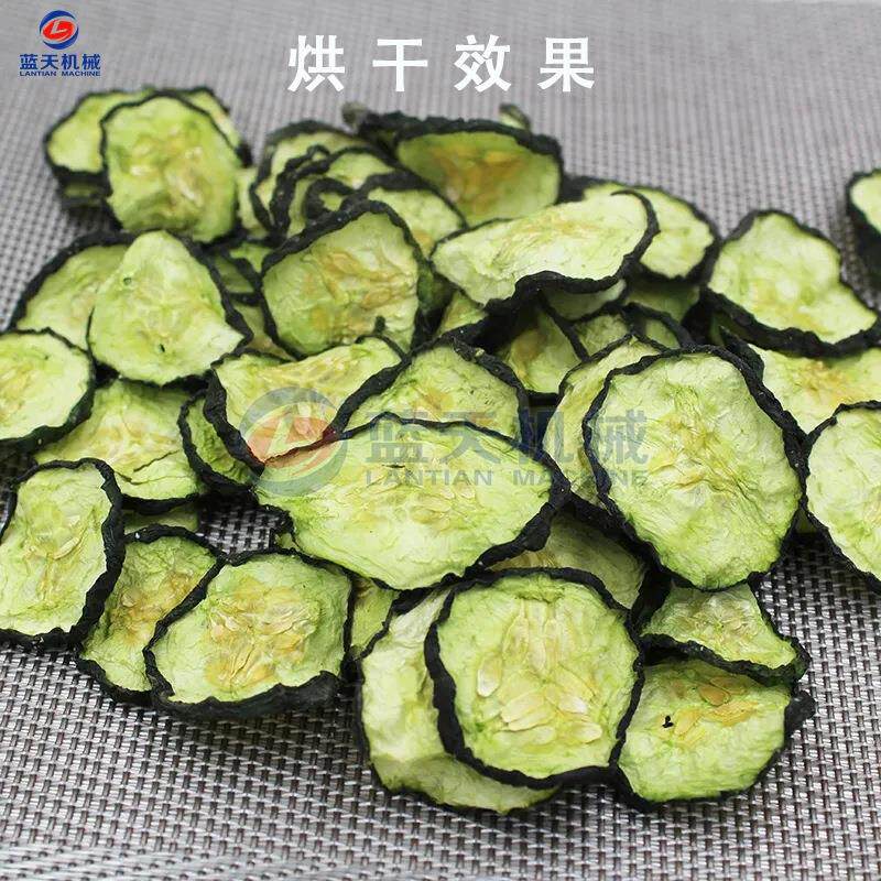 黄瓜片烘干机 小型可移控动干干菜烘箱 智能温黄豆瓜角茄子烘LT-J