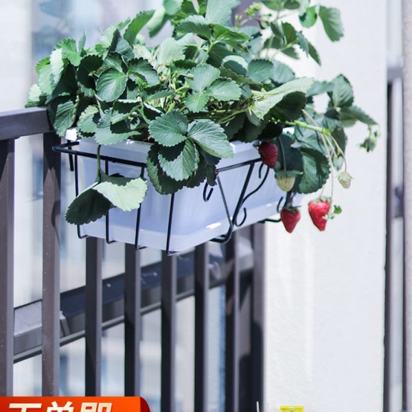 悬挂阳台种菜花盆绿植花盆架子懒人蔬菜种植神器草莓菜盆铁艺挂架