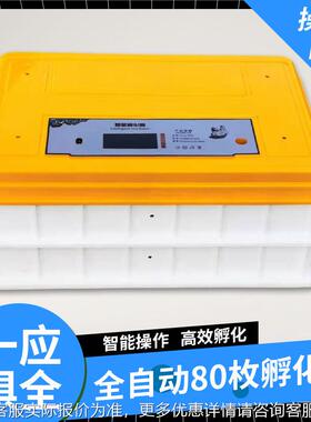 全自动孵器新款家用小鸡FHX智小型孵境化化机禽蛋孵蛋器跨电能动