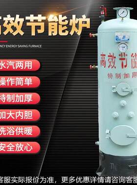 小蒸锅炉食品工酿酒发酵DPV加煮豆浆腐竹加工蒸型馒头汽锅炉