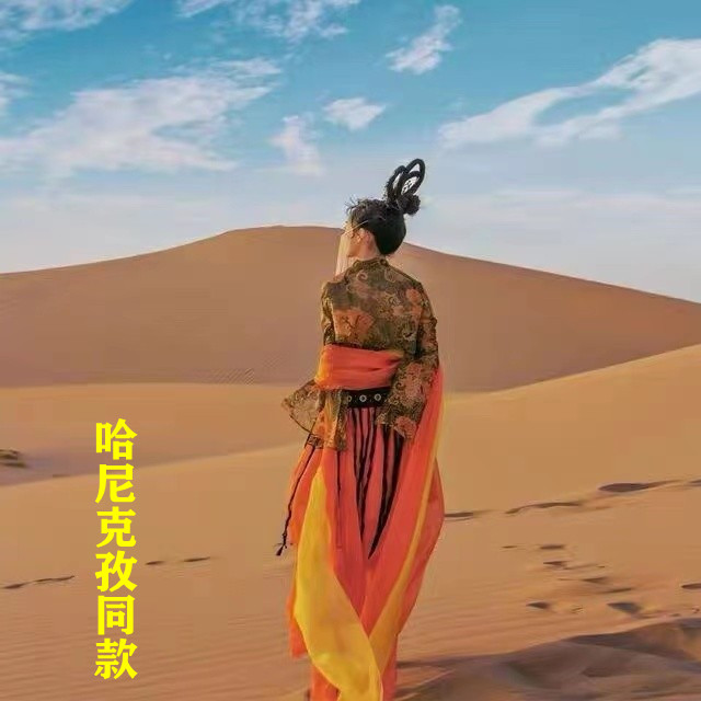 哈尼克孜同款敦煌飞天民族舞蹈服装古典舞演出服西域风情表演服装