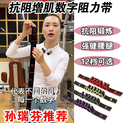 孙瑞芬推荐抗阻增肌数字阻力带弹力带中老年臀大肌腿部力量训练