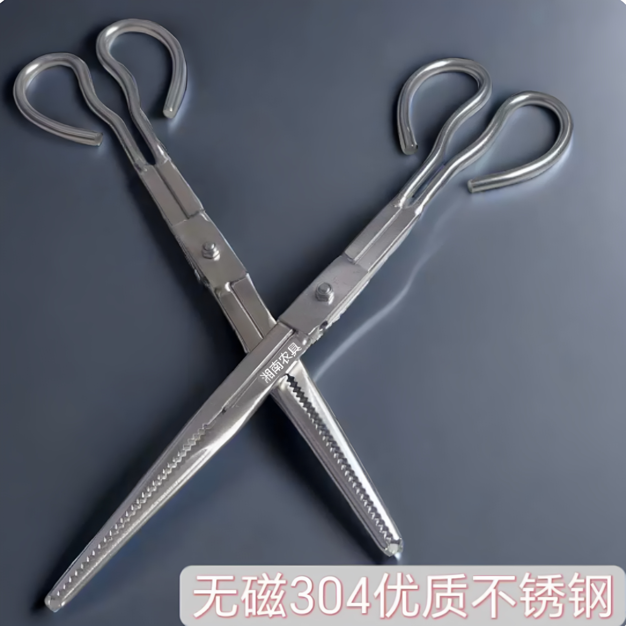 不锈钢黄鳝夹子防滑防脱赶海神器多功能控鱼夹鳝鱼泥鳅螃蟹专用钳